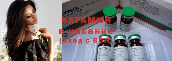индика Дегтярск