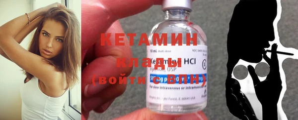 индика Дегтярск