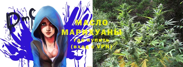 индика Дегтярск