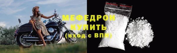 индика Дегтярск