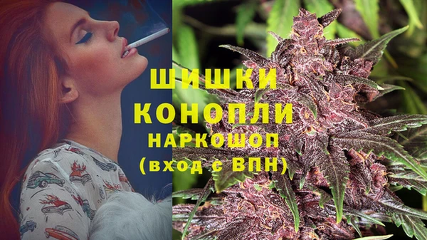 индика Дегтярск