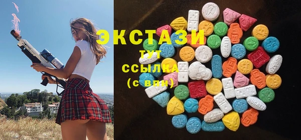 индика Дегтярск