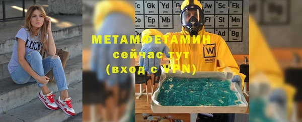 индика Дегтярск