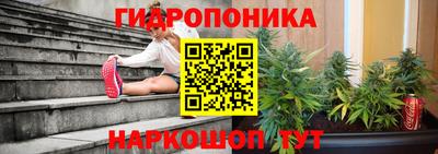 прущая мука Гатчина