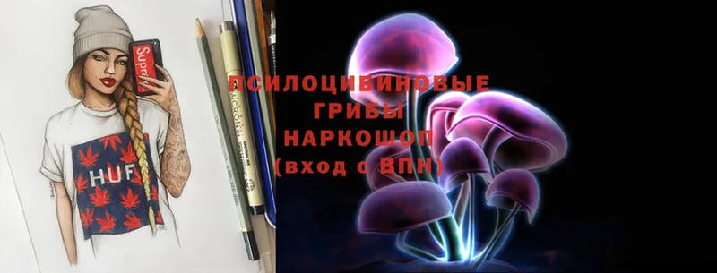 Галлюциногенные грибы Psilocybine cubensis Кирово-Чепецк