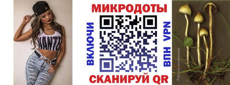 Псилоцибиновые грибы Psilocybe  купить наркотик  Кирово-Чепецк 